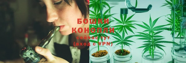 PSILOCYBIN Болохово