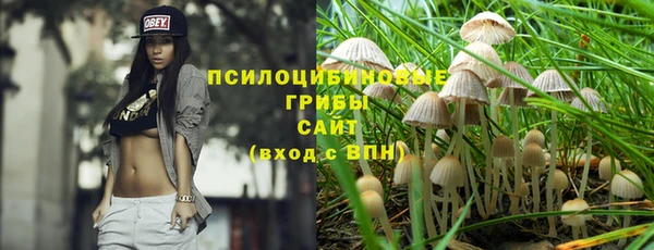 a pvp Осинники