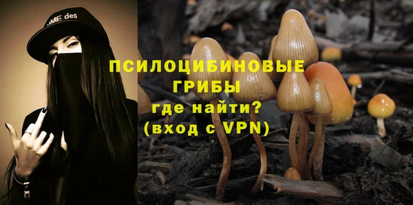 a pvp Осинники