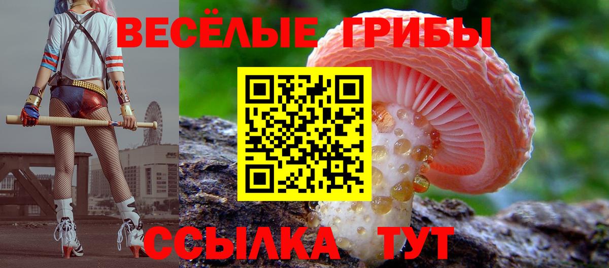 Псилоцибиновые грибы мухоморы Лобня