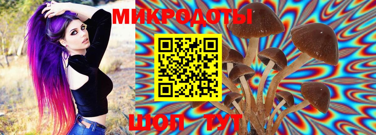 Псилоцибиновые грибы Лобня